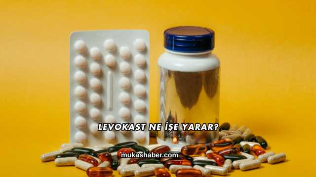 Levokast Ne İşe Yarar?