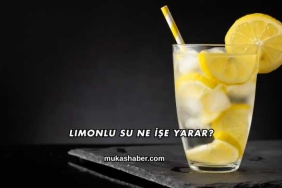 Limonlu Su Ne İşe Yarar?