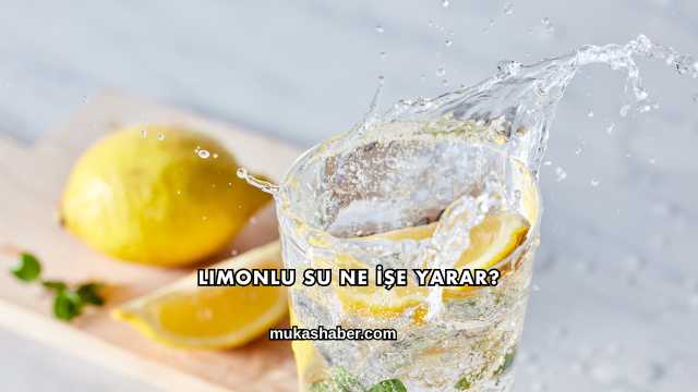 Limonlu Su Ne İşe Yarar?