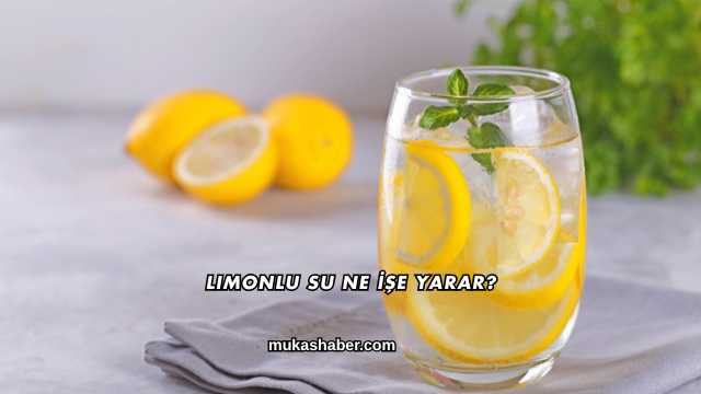 Limonlu Su Ne İşe Yarar?