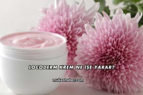Locoderm Krem Ne İşe Yarar?