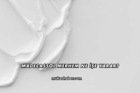 Madecassol Merhem Ne İşe Yarar?
