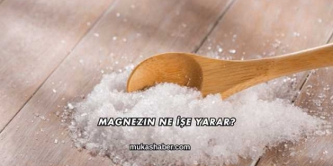 Magnezin Ne İşe Yarar?