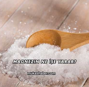 Magnezin Ne İşe Yarar?