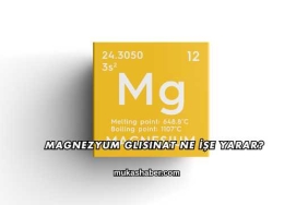Magnezyum Glisinat Ne İşe Yarar?