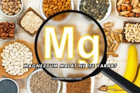 Magnezyum Malat Ne İşe Yarar?
