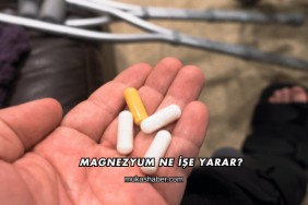Magnezyum Ne İşe Yarar?