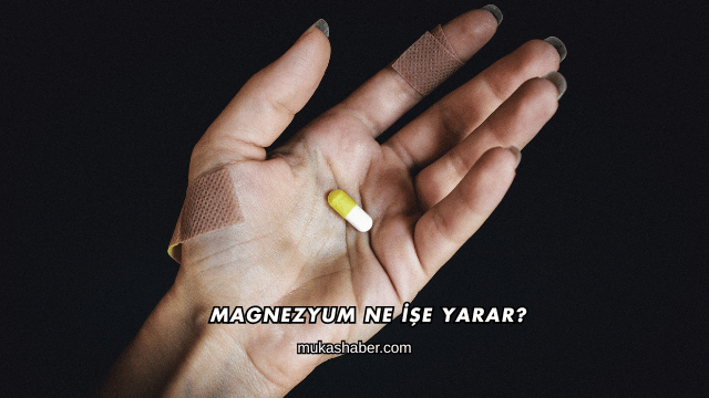 Magnezyum Ne İşe Yarar?