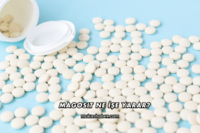 Magosit Ne İşe Yarar?