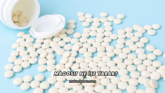 Magosit Ne İşe Yarar?