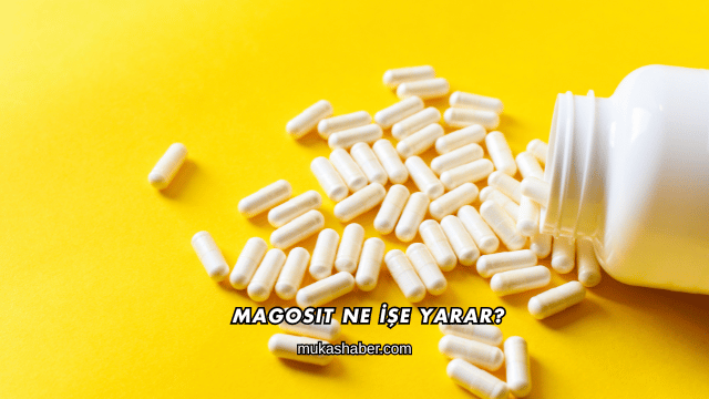 Magosit Ne İşe Yarar?