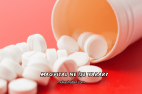 Magvital Ne İşe Yarar?
