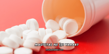 Magvital Ne İşe Yarar?