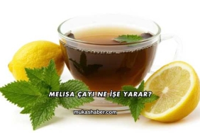 Melisa Çayı Ne İşe Yarar?