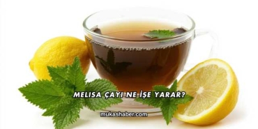 Melisa Çayı Ne İşe Yarar?
