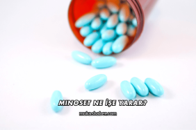 Minoset Ne İşe Yarar?