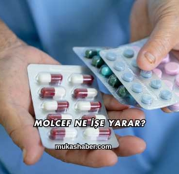 Molcef Ne İşe Yarar?