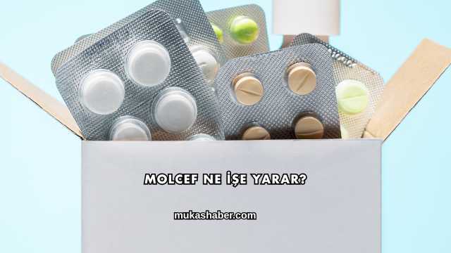Molcef Ne İşe Yarar?