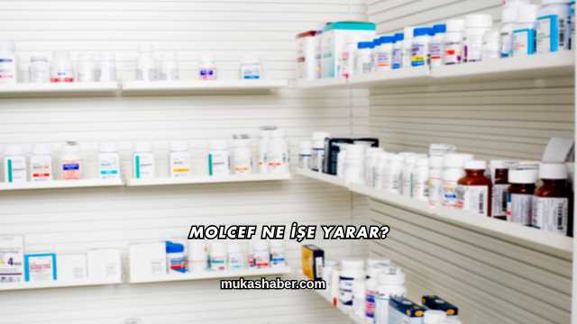 Molcef Ne İşe Yarar?