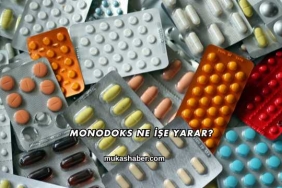 Monodoks Ne İşe Yarar?