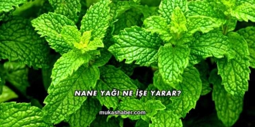 Nane Yağı Ne İşe Yarar?