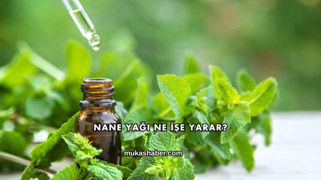 Nane Yağı Ne İşe Yarar?