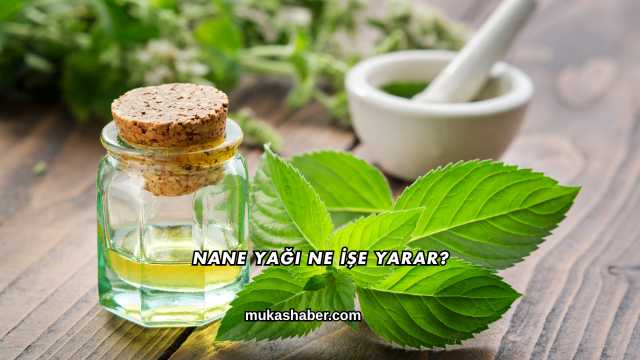 Nane Yağı Ne İşe Yarar?