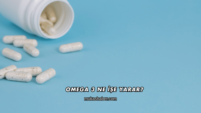 Omega 3 Ne İşe Yarar?