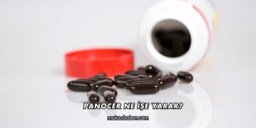 Panocer Ne İşe Yarar?