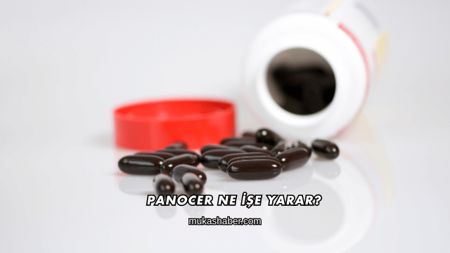 Panocer Ne İşe Yarar?