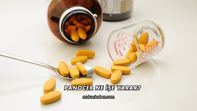 Panocer Ne İşe Yarar?