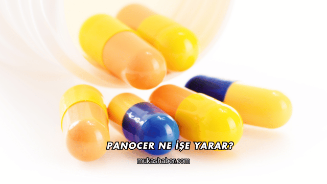 Panocer Ne İşe Yarar?