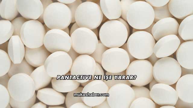 Pantactive Ne İşe Yarar?