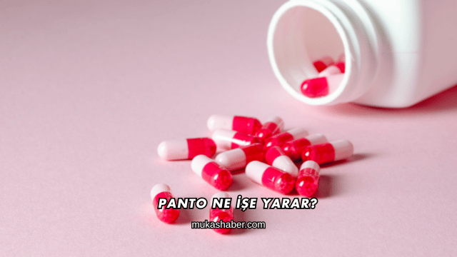 Panto Ne İşe Yarar?