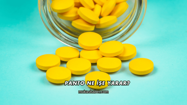 Panto Ne İşe Yarar?