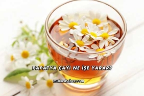 Papatya Çayı Ne İşe Yarar?