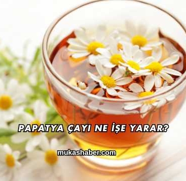 Papatya Çayı Ne İşe Yarar?