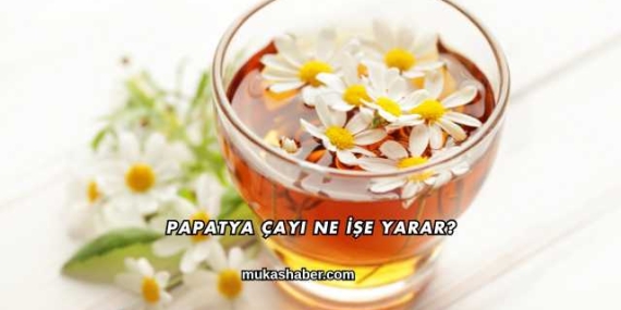 Papatya Çayı Ne İşe Yarar?