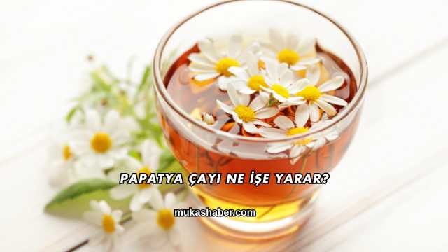 Papatya Çayı Ne İşe Yarar?