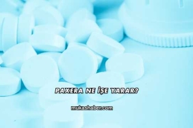Paxera Ne İşe Yarar?