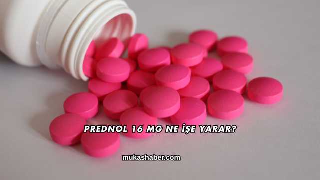Prednol 16 Mg Ne İşe Yarar?