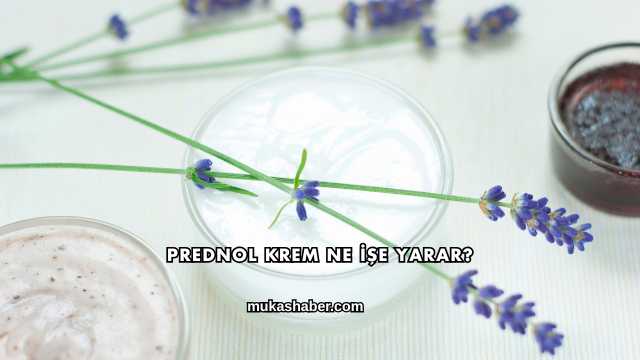 Prednol Krem Ne İşe Yarar?