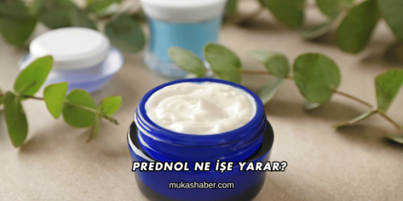 Prednol Ne İşe Yarar?