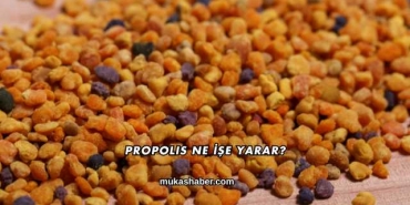 Propolis Ne İşe Yarar?