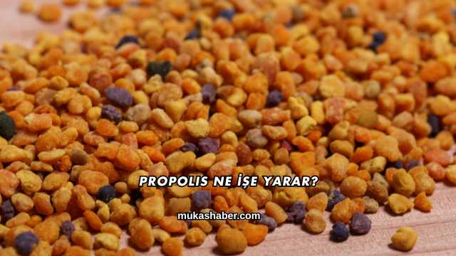 Propolis Ne İşe Yarar?