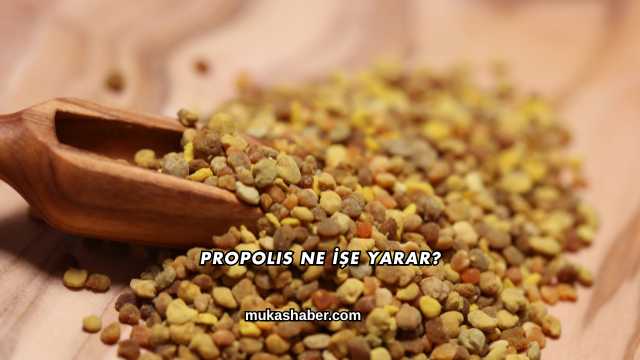 Propolis Ne İşe Yarar?