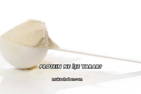 Protein Ne İşe Yarar?