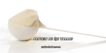 Protein Ne İşe Yarar?
