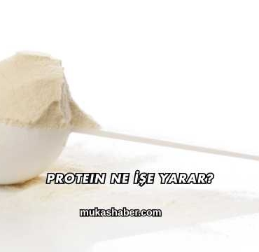 Protein Ne İşe Yarar?