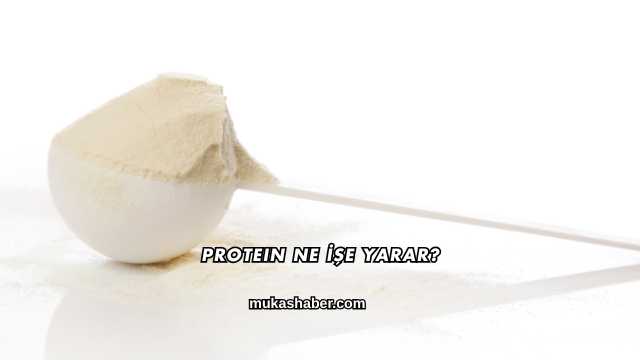 Protein Ne İşe Yarar?